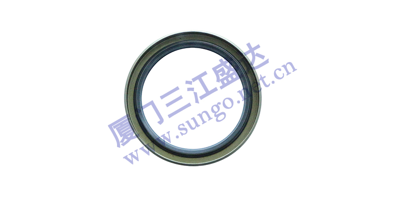 影響油封正常運(yùn)轉(zhuǎn)的因素有哪些？